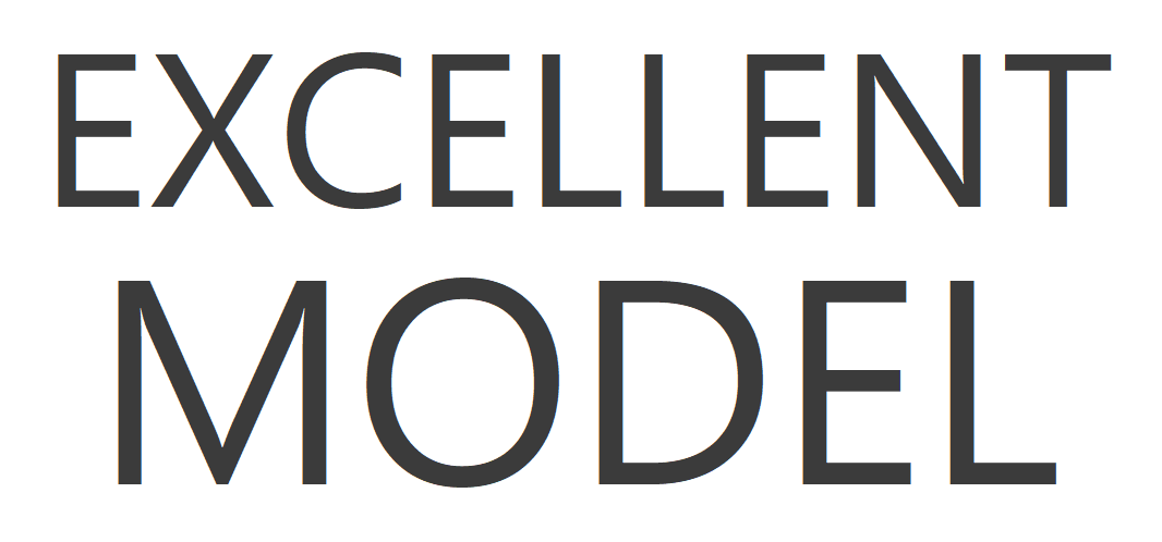 EXCELLENTMODEL